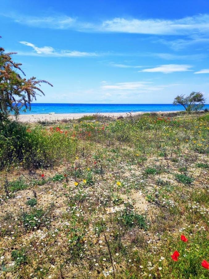 Seaside Family Apartment In Paralia Dionisiou Dış mekan fotoğraf