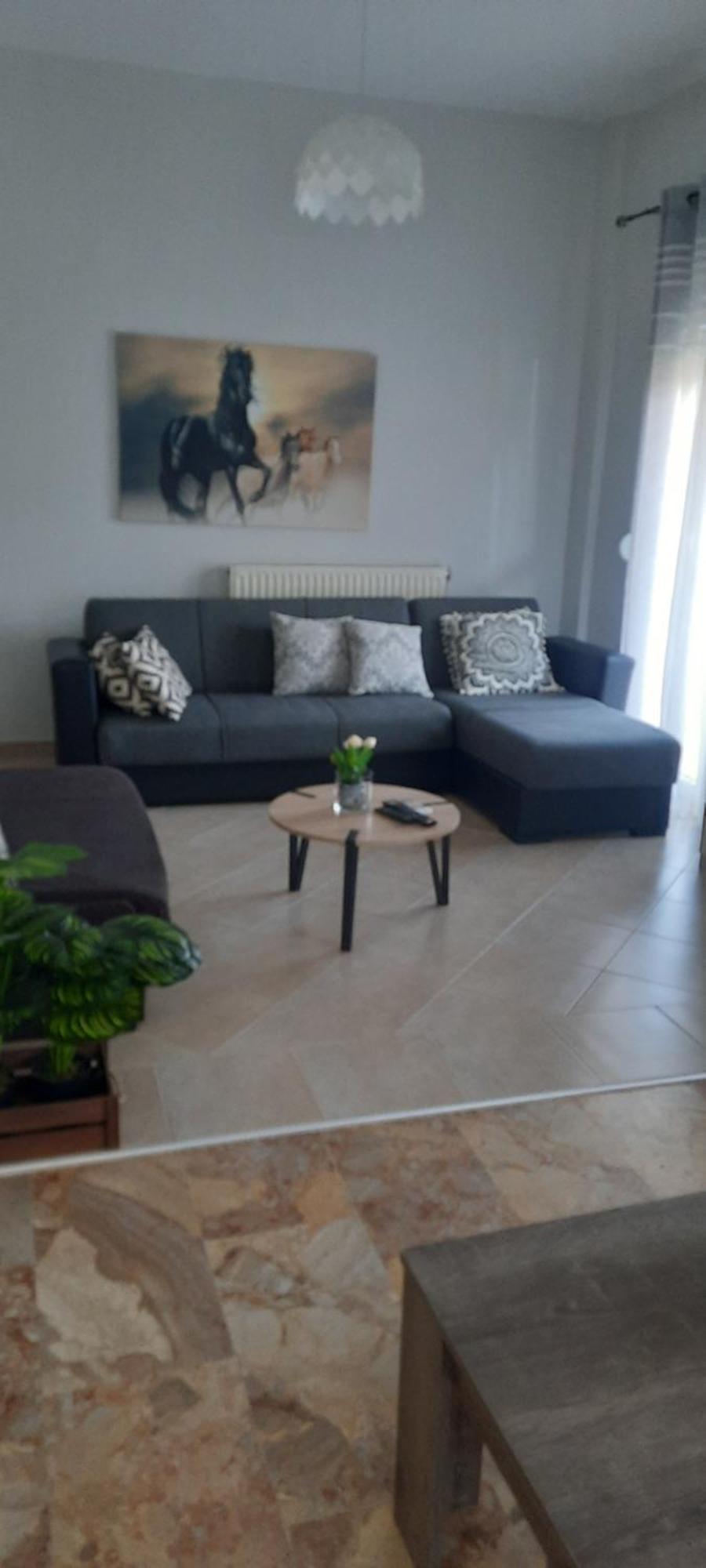 Seaside Family Apartment In Paralia Dionisiou Dış mekan fotoğraf