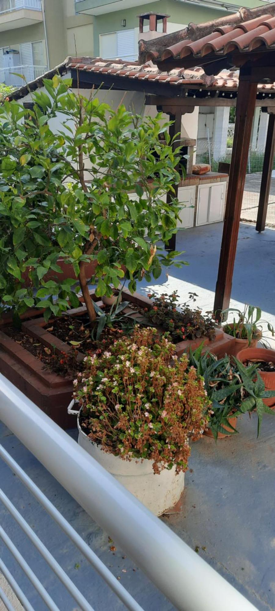 Seaside Family Apartment In Paralia Dionisiou Dış mekan fotoğraf