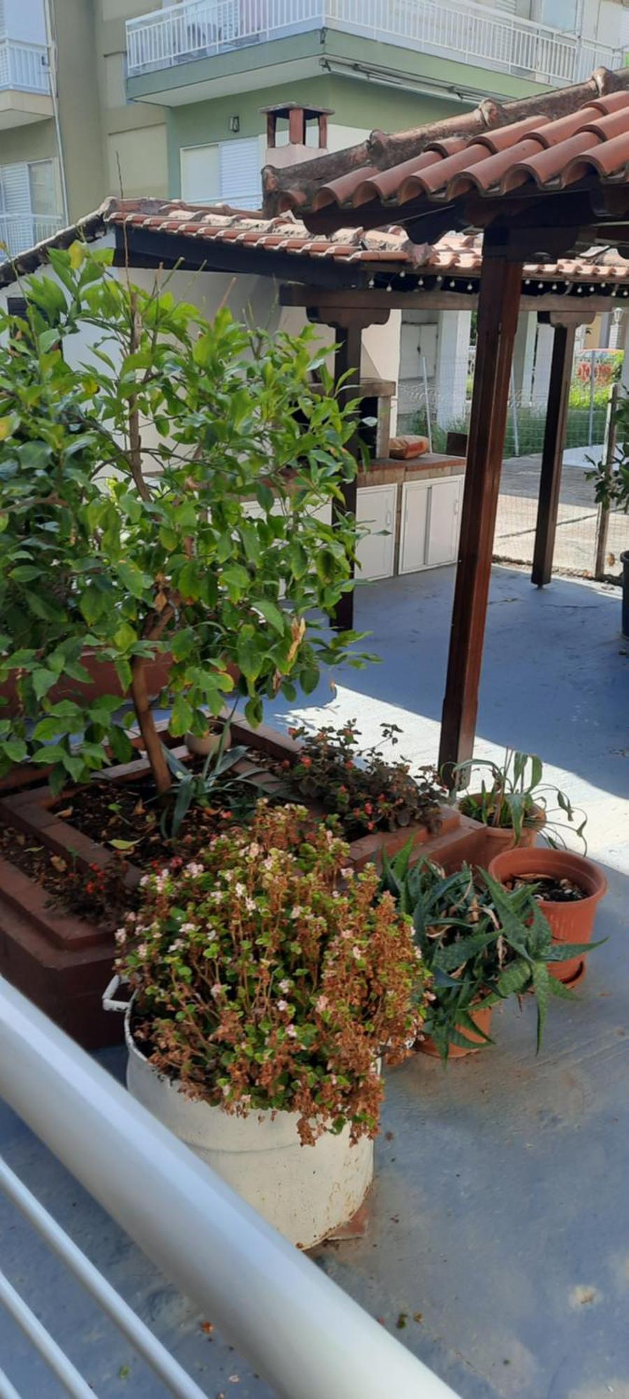 Seaside Family Apartment In Paralia Dionisiou Dış mekan fotoğraf