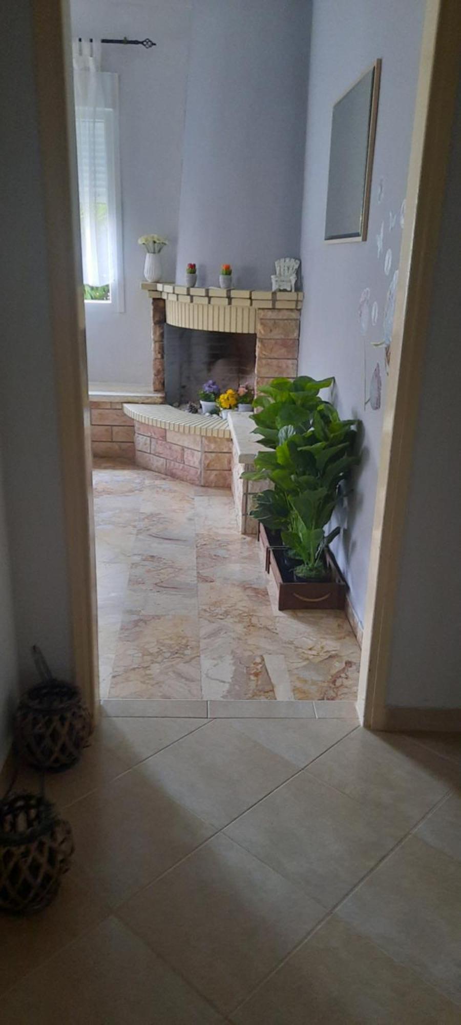 Seaside Family Apartment In Paralia Dionisiou Dış mekan fotoğraf